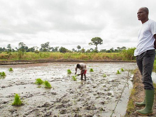 AGRICULTURE INVESTMENT OPPORTUNITIES