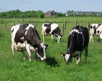Agricultural Development Program