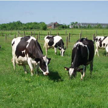 Agricultural Development Program